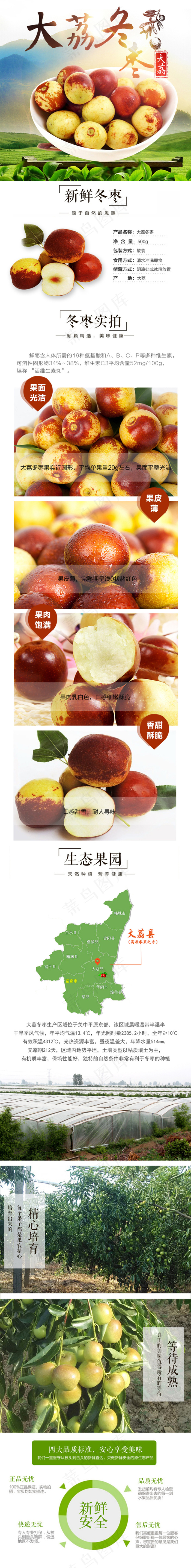 大荔冬枣psd模版下载