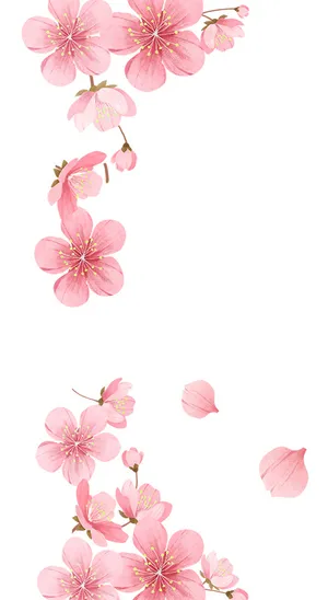 桃花 桃花图片 桃花 桃花图片