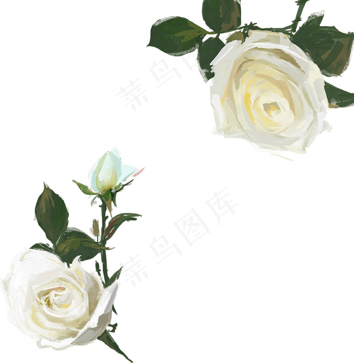 白玫瑰 玫瑰花psd模版下载