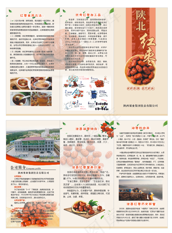 红枣折页 产品折页cdr矢量模版下载