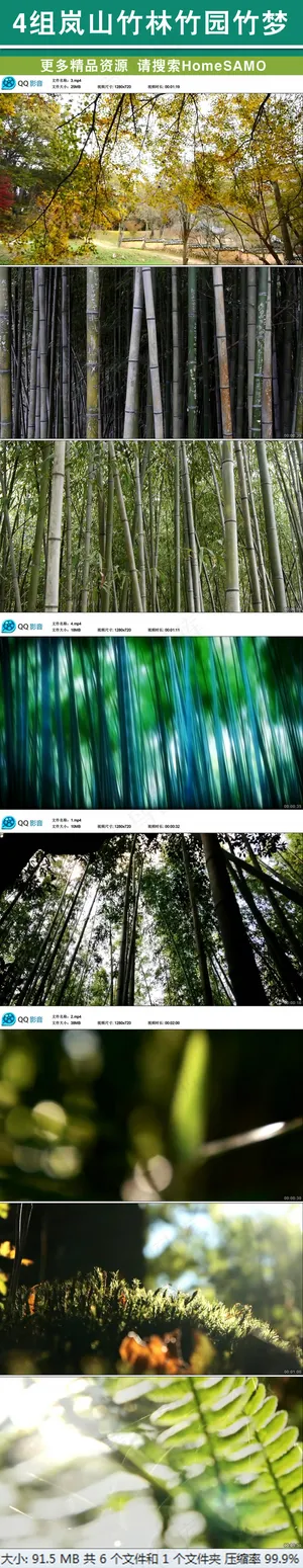 4组岚山竹林竹园竹梦实拍