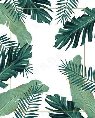 芭蕉叶边框北欧叶子小清新