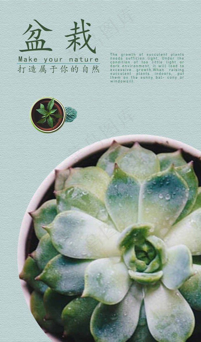 简约盆栽海报psd模版下载