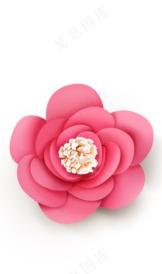 玫瑰花 粉玫瑰 红玫瑰