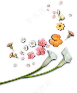 粉色鲜花 黄色鲜花 粉色鲜花 黄色鲜花