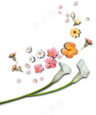 粉色鲜花 黄色鲜花