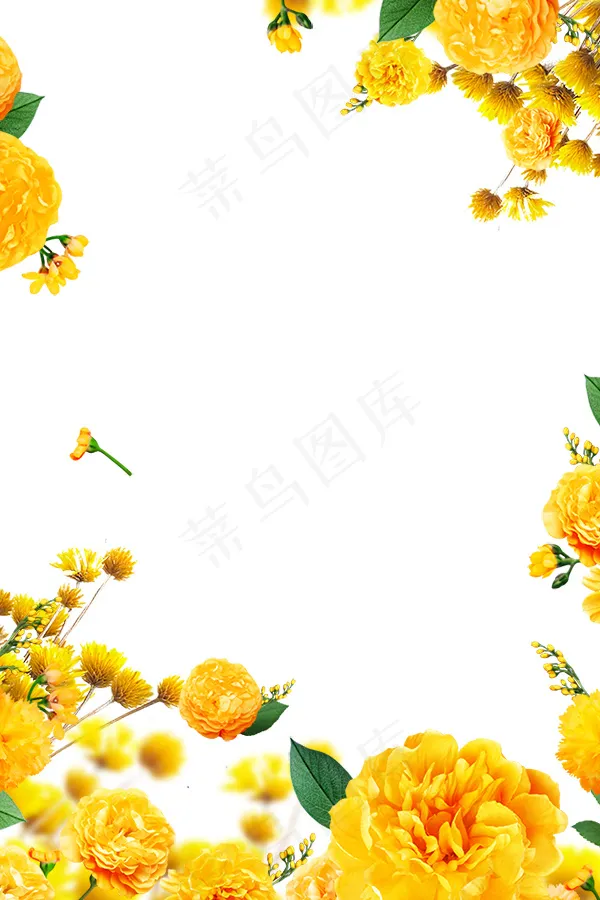 菊花花草边框psd模版下载