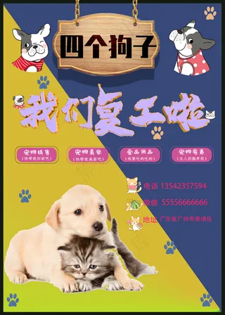 宠物店广告
