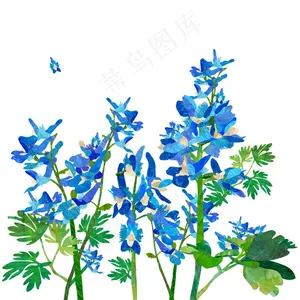 手绘鲜花图片
