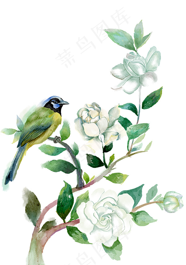 鲜花和鸟插画psd模版下载