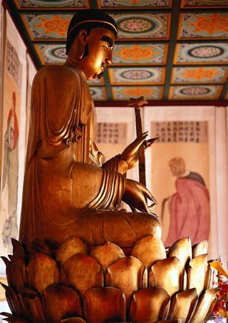 金色的释迦牟尼佛