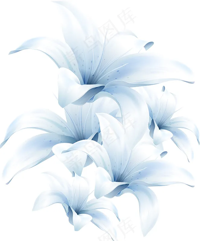 百合花 手绘百合花psd模版下载