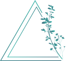 小清新|花鸟圆形边框psd模版下载