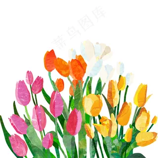 手绘水彩郁金香