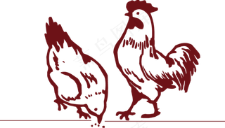 散养母鸡矢量图