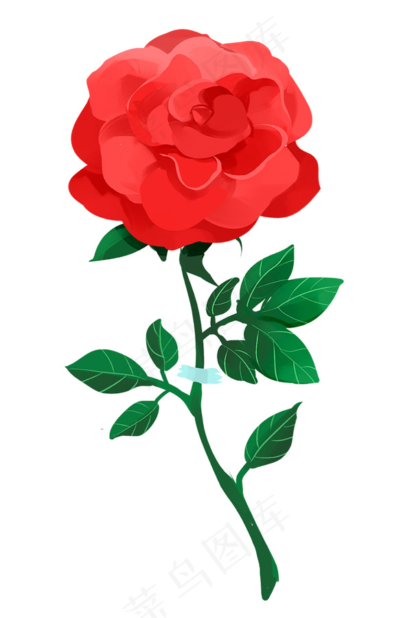手绘玫瑰 红玫瑰