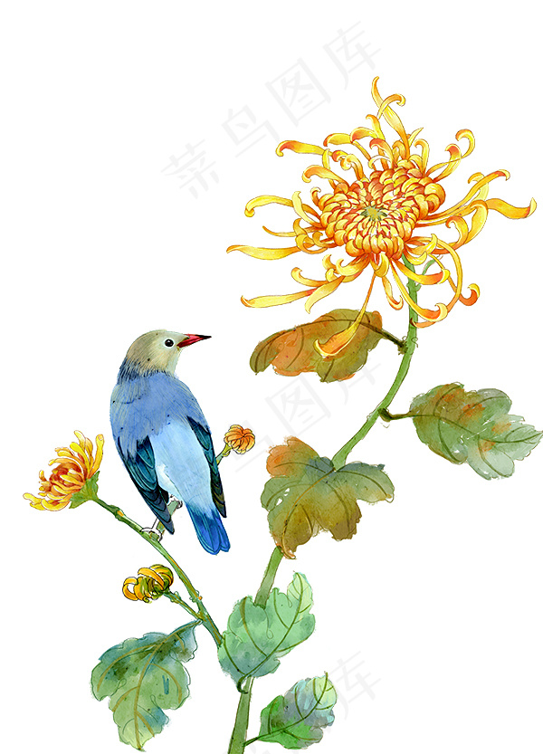 菊花和鸟手绘插画psd模版下载