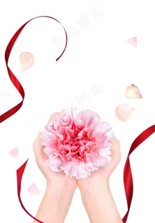 手捧康乃馨 康乃馨
