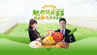 封面 带货 人物 主持人