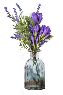 紫色鲜花图片 紫色鲜花图片