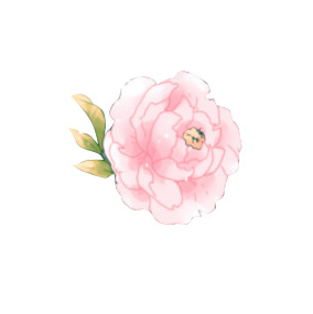粉色鲜花 手绘鲜花psd模版下载