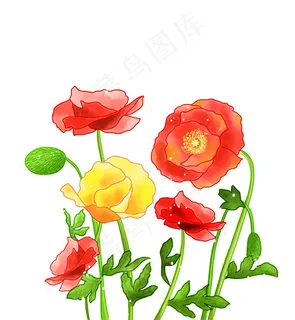 手绘鲜花图片 手绘鲜花图片
