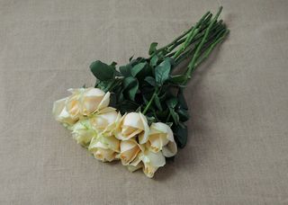 蜜桃雪山玫瑰花图片