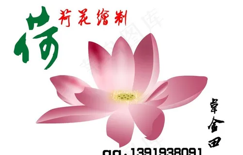 手绘制荷花图片