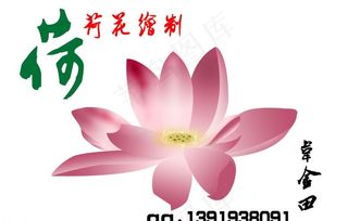 手绘制荷花图片