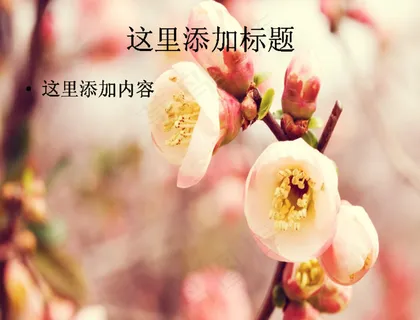 很有清新感觉的植物(8) 很有清新感觉的植物(8)