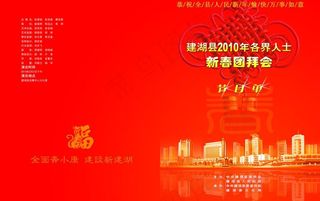 2010年新年节目单图片