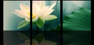 梦幻荷花 无框画图片