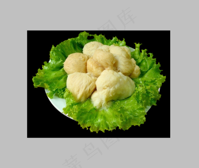 猴头菇psd模版下载