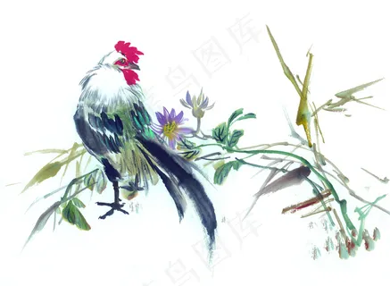 中国花鸟公鸡 中国花鸟公鸡
