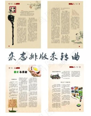 杂志排版图片