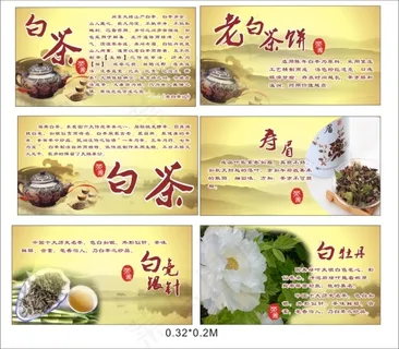 茶文化介绍资料CDR