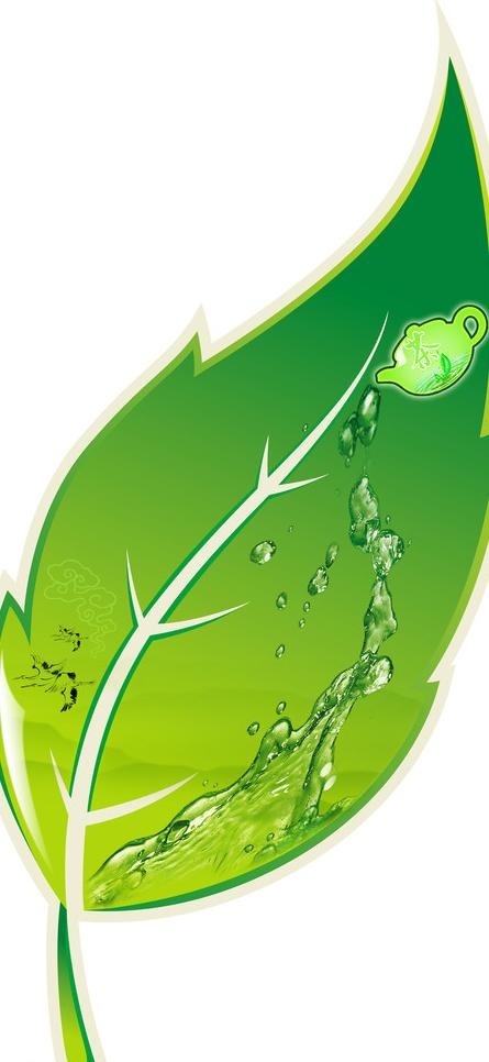 茶壶 茶叶 水滴图片