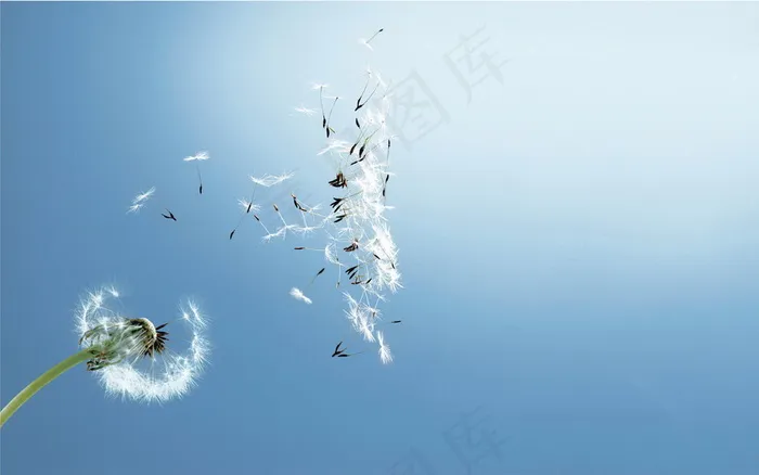 高清电脑桌面背景壁纸