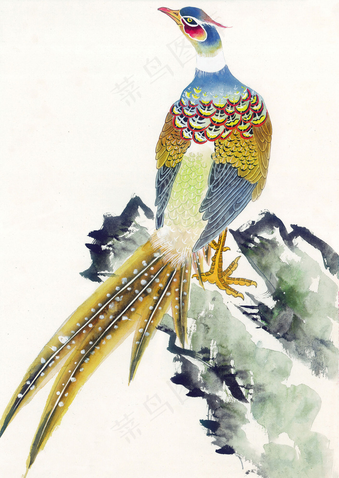 花鸟孔雀