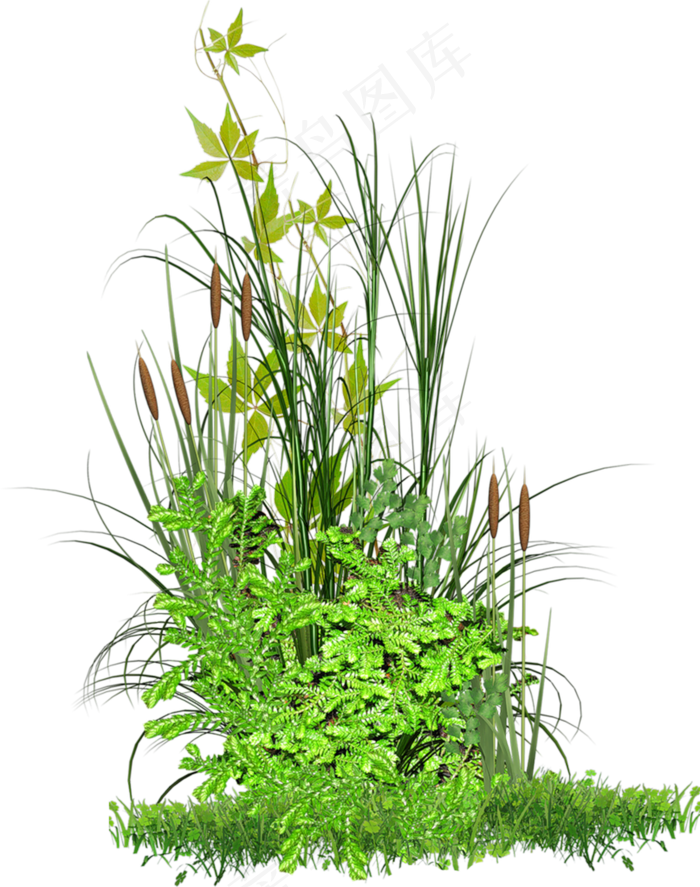 手绘逼真绿色植物透明素材