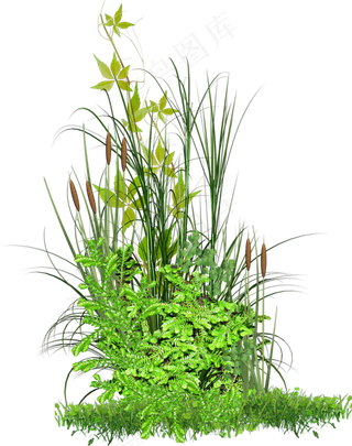 手绘逼真绿色植物透明素材