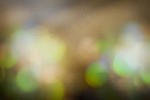 车灯 车灯