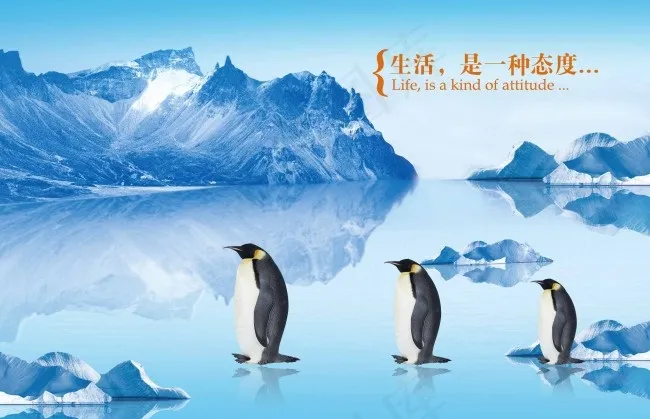 企鹅