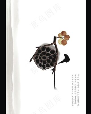 禅意枯莲 中国风海报图片