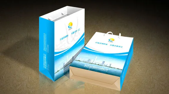 开发公司手提纸袋矢量素材 CD