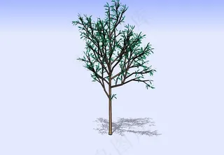 杂树3D模型