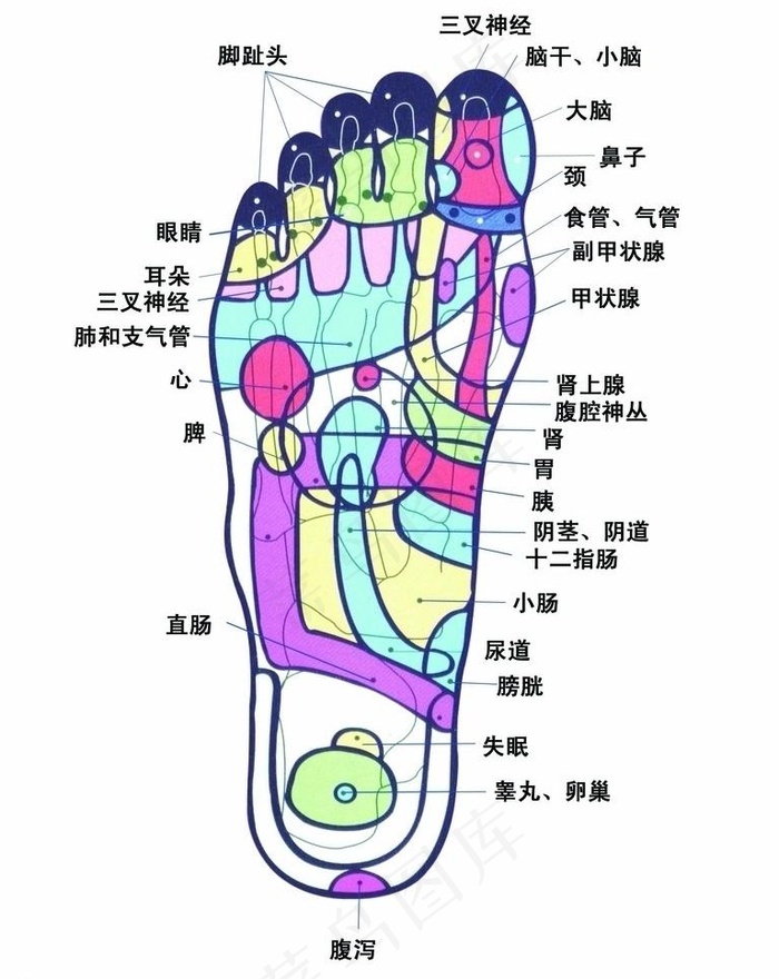 脚穴挂 脚 穴位 展板 医疗 保健...