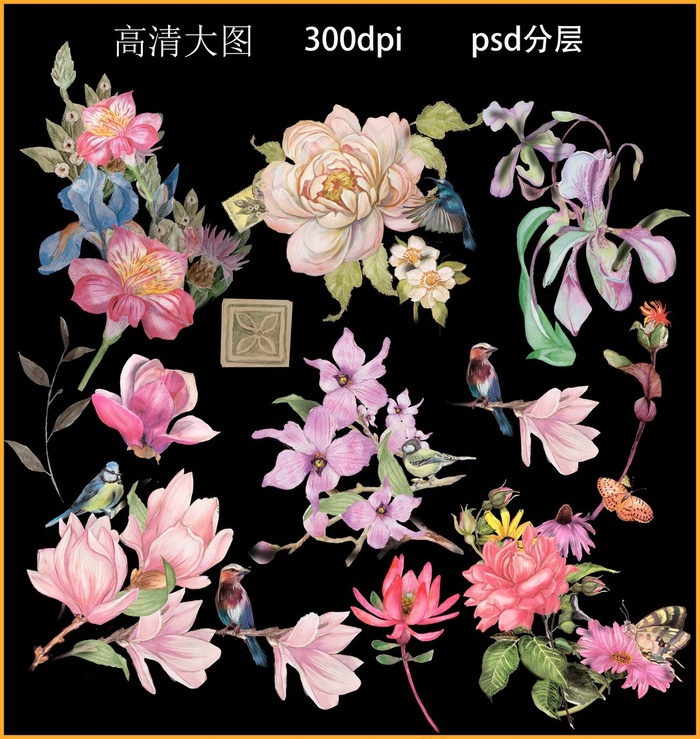 水彩花卉