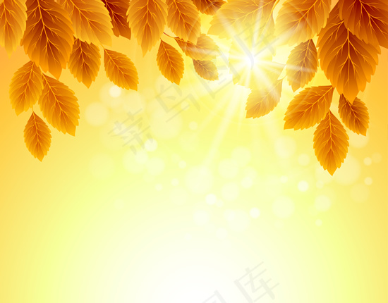 秋天树叶矢量图片免费下载