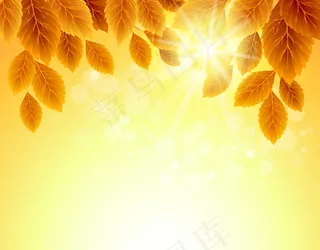 秋天树叶矢量图片免费下载